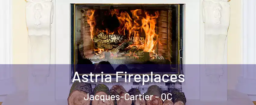  Astria Fireplaces Jacques-Cartier - QC