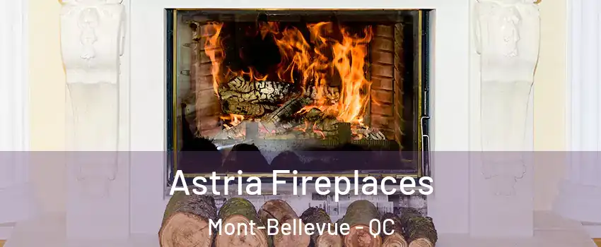  Astria Fireplaces Mont-Bellevue - QC