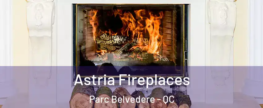  Astria Fireplaces Parc Belvedere - QC