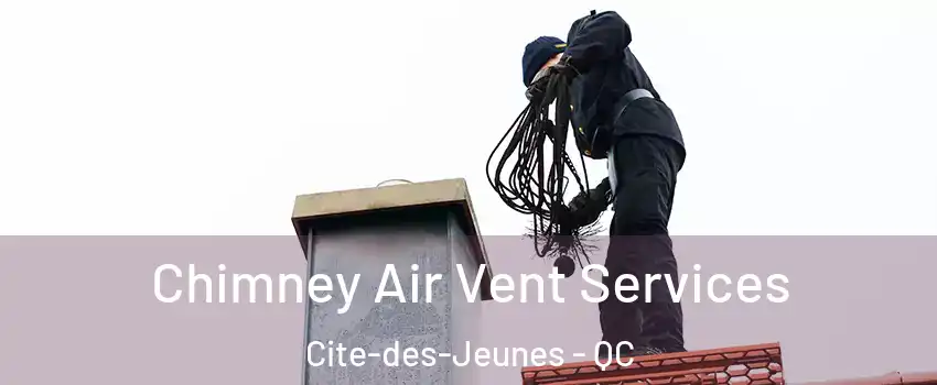  Chimney Air Vent Services Cite-des-Jeunes - QC