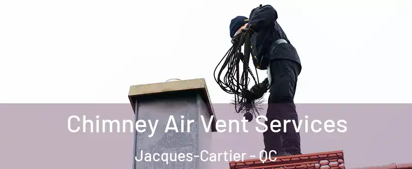  Chimney Air Vent Services Jacques-Cartier - QC