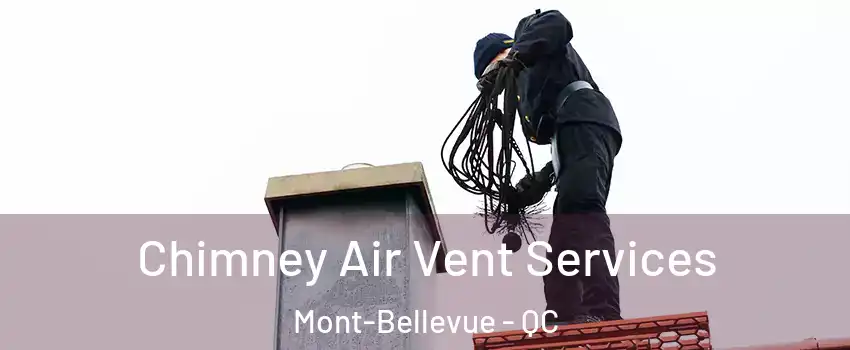  Chimney Air Vent Services Mont-Bellevue - QC