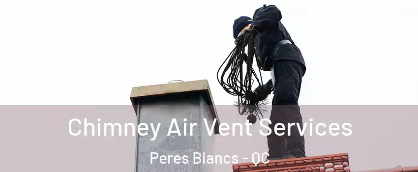  Chimney Air Vent Services Peres Blancs - QC