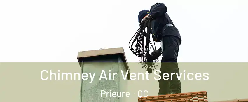  Chimney Air Vent Services Prieure - QC