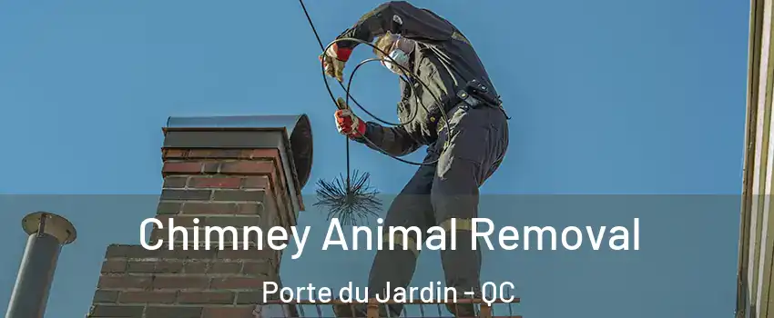 Chimney Animal Removal Porte du Jardin - QC