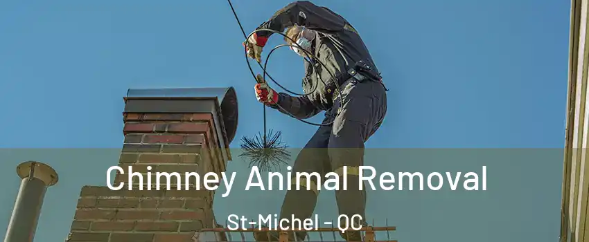Chimney Animal Removal St-Michel - QC
