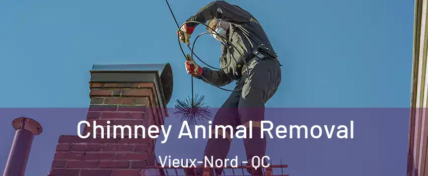 Chimney Animal Removal Vieux-Nord - QC