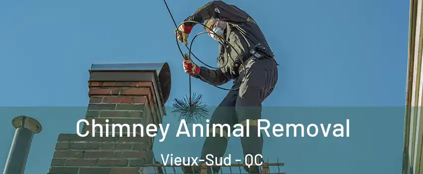 Chimney Animal Removal Vieux-Sud - QC