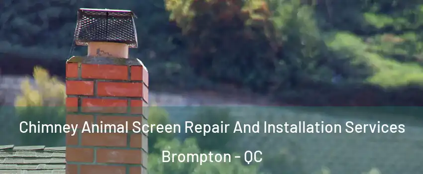  Chimney Animal Screen Repair And Installation Services Brompton - QC