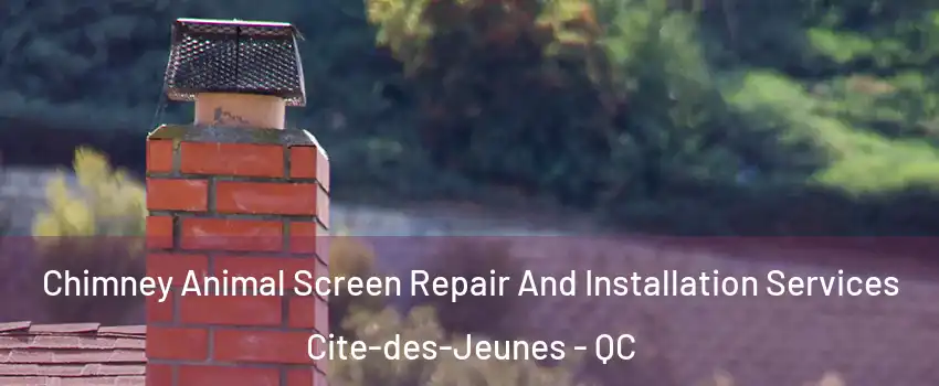  Chimney Animal Screen Repair And Installation Services Cite-des-Jeunes - QC