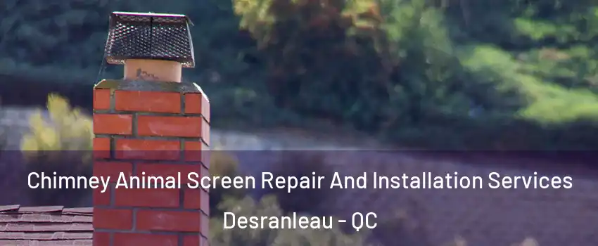  Chimney Animal Screen Repair And Installation Services Desranleau - QC