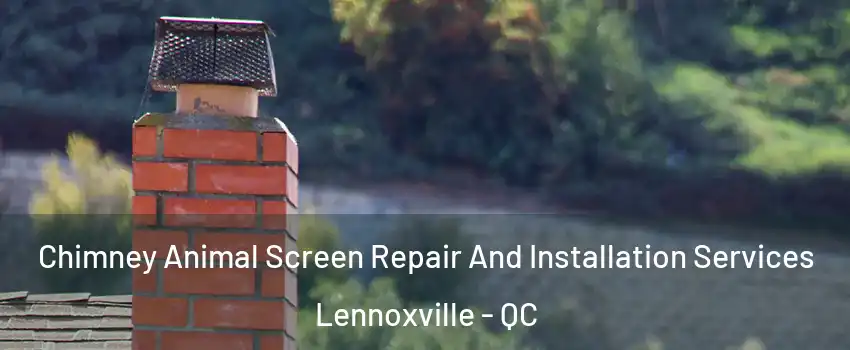  Chimney Animal Screen Repair And Installation Services Lennoxville - QC