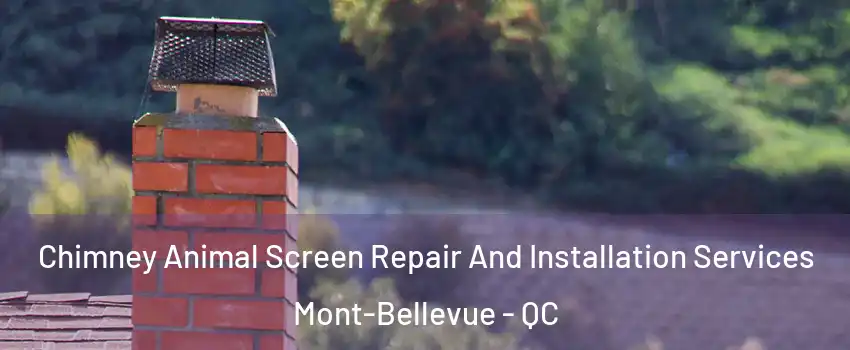  Chimney Animal Screen Repair And Installation Services Mont-Bellevue - QC