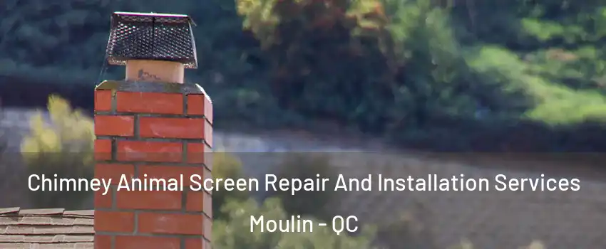  Chimney Animal Screen Repair And Installation Services Moulin - QC