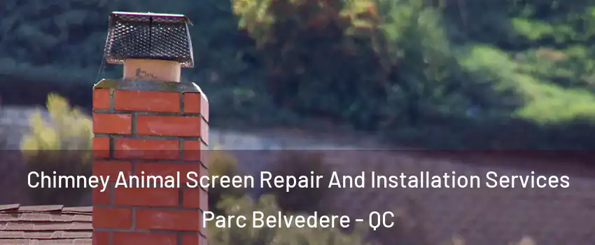  Chimney Animal Screen Repair And Installation Services Parc Belvedere - QC