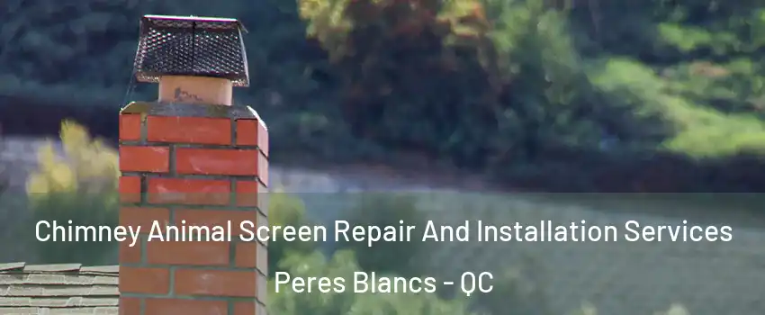  Chimney Animal Screen Repair And Installation Services Peres Blancs - QC