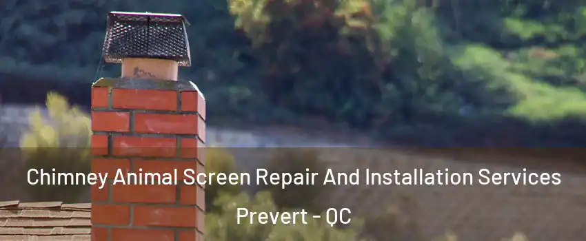  Chimney Animal Screen Repair And Installation Services Prevert - QC