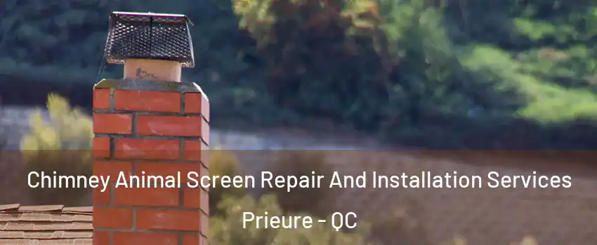  Chimney Animal Screen Repair And Installation Services Prieure - QC