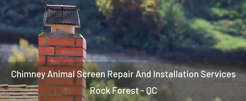  Chimney Animal Screen Repair And Installation Services Rock Forest - QC