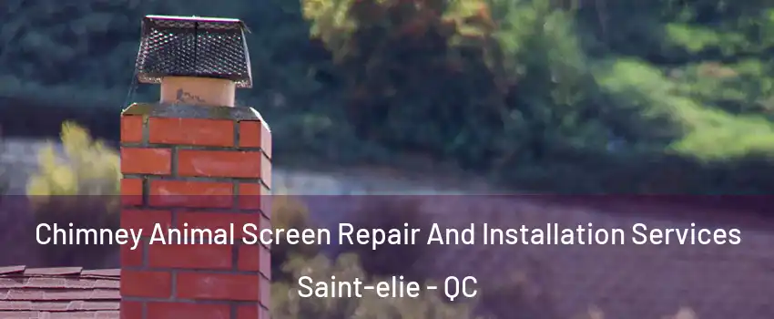 Chimney Animal Screen Repair And Installation Services Saint-elie - QC
