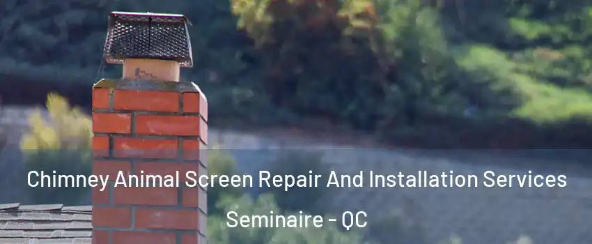  Chimney Animal Screen Repair And Installation Services Seminaire - QC
