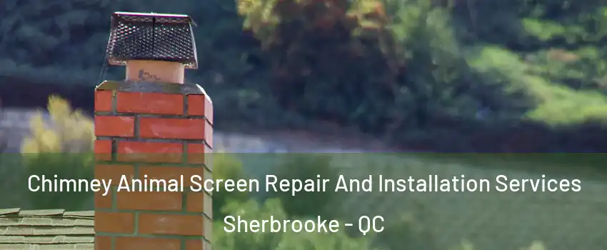  Chimney Animal Screen Repair And Installation Services Sherbrooke - QC