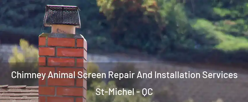  Chimney Animal Screen Repair And Installation Services St-Michel - QC