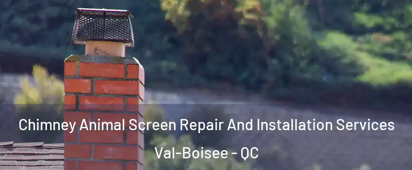  Chimney Animal Screen Repair And Installation Services Val-Boisee - QC
