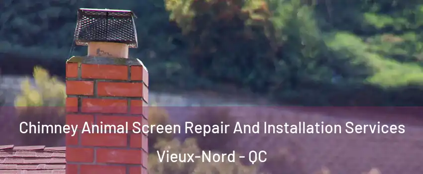  Chimney Animal Screen Repair And Installation Services Vieux-Nord - QC