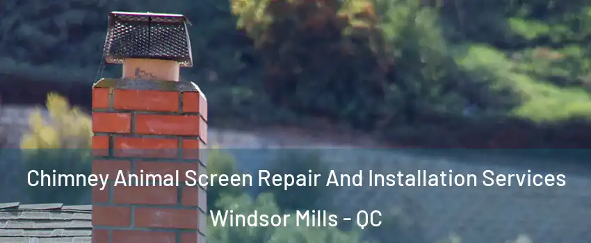  Chimney Animal Screen Repair And Installation Services Windsor Mills - QC