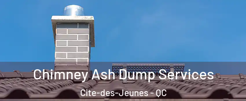  Chimney Ash Dump Services Cite-des-Jeunes - QC