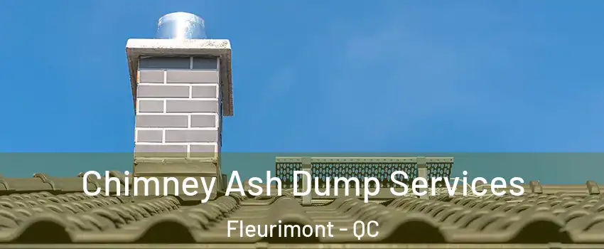  Chimney Ash Dump Services Fleurimont - QC