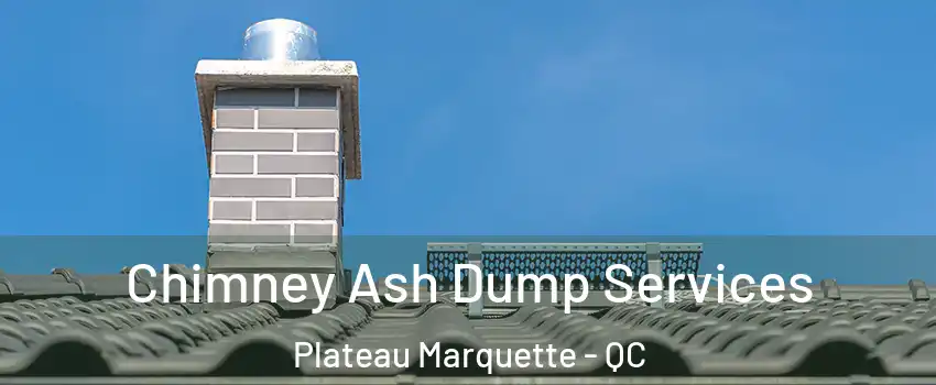  Chimney Ash Dump Services Plateau Marquette - QC