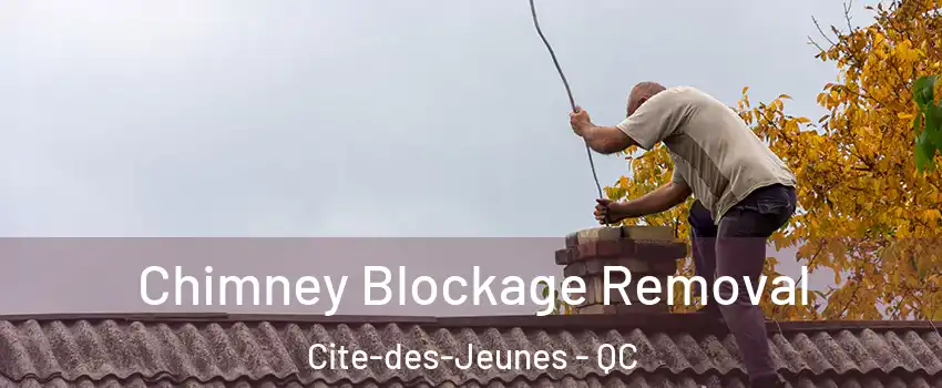  Chimney Blockage Removal Cite-des-Jeunes - QC
