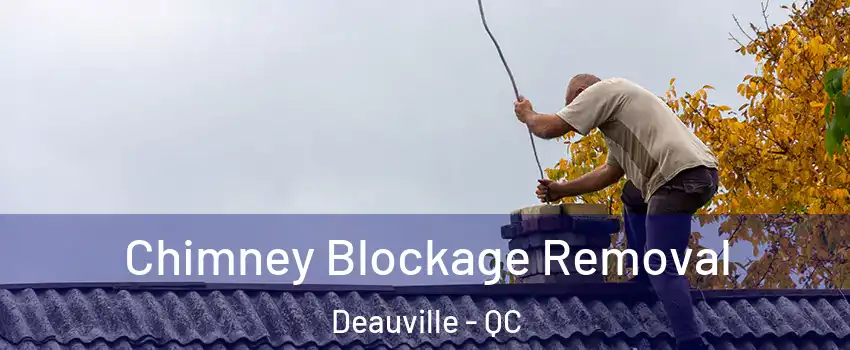  Chimney Blockage Removal Deauville - QC