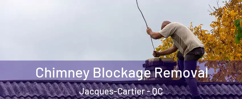  Chimney Blockage Removal Jacques-Cartier - QC