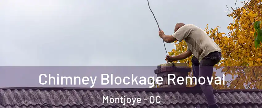  Chimney Blockage Removal Montjoye - QC