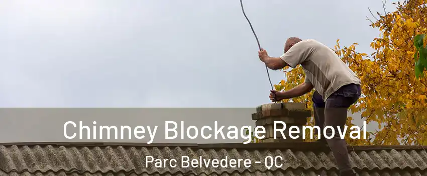  Chimney Blockage Removal Parc Belvedere - QC