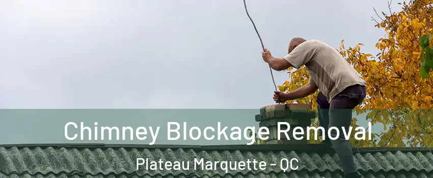  Chimney Blockage Removal Plateau Marquette - QC