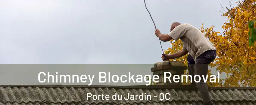  Chimney Blockage Removal Porte du Jardin - QC