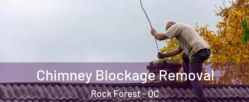  Chimney Blockage Removal Rock Forest - QC