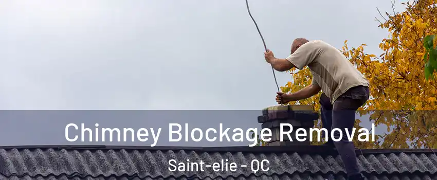  Chimney Blockage Removal Saint-elie - QC