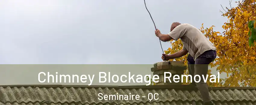  Chimney Blockage Removal Seminaire - QC