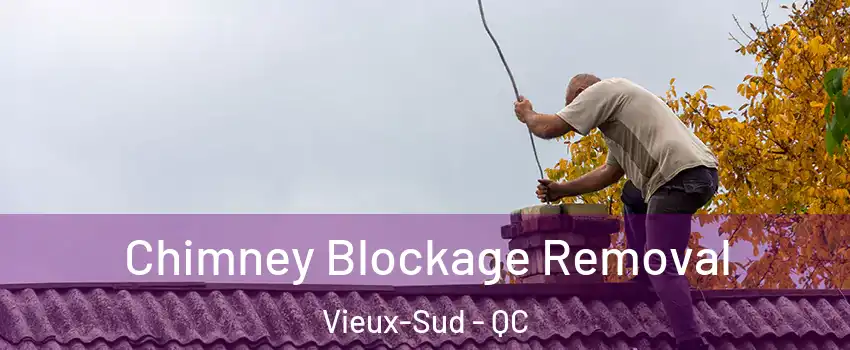  Chimney Blockage Removal Vieux-Sud - QC