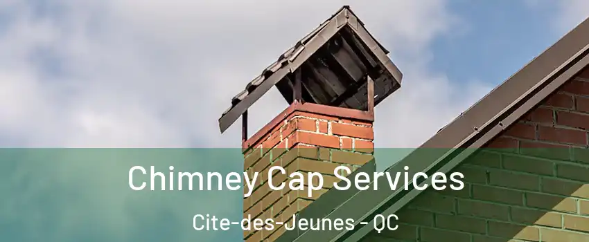  Chimney Cap Services Cite-des-Jeunes - QC