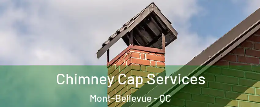  Chimney Cap Services Mont-Bellevue - QC