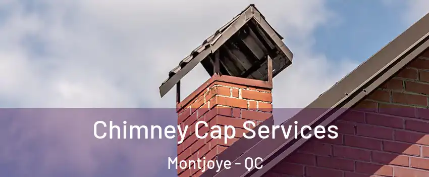  Chimney Cap Services Montjoye - QC