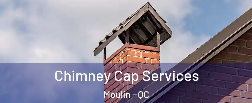  Chimney Cap Services Moulin - QC