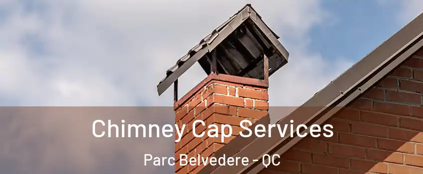  Chimney Cap Services Parc Belvedere - QC
