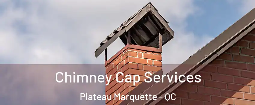  Chimney Cap Services Plateau Marquette - QC